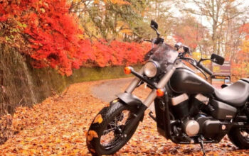 紅葉がきれいなルート