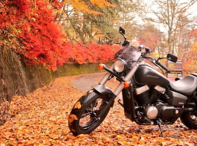 秋の紅葉ツーリングの楽しみ方