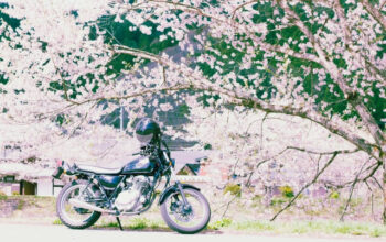 桜とバイク