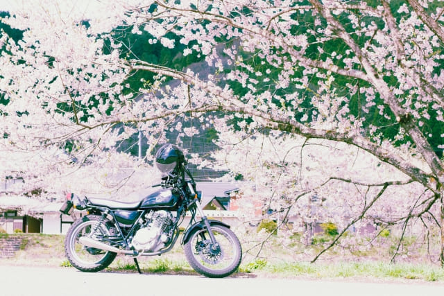 春におすすめのツーリングスポット